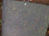image of grave number 141543